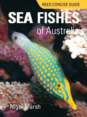 Reed Concise Guide: Sea Fishes of Australia