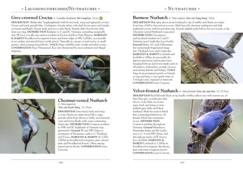 A Naturalist's Guide to the Birds of Vietnam - Image 4