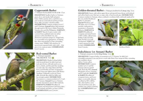 A Naturalist's Guide to the Birds of Vietnam - Image 2