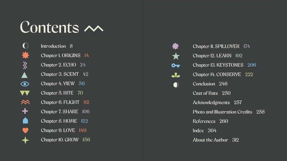 The Weird and Wonderful World of Bats: Demystifying These Often-Misunderstood Creatures - Image 2
