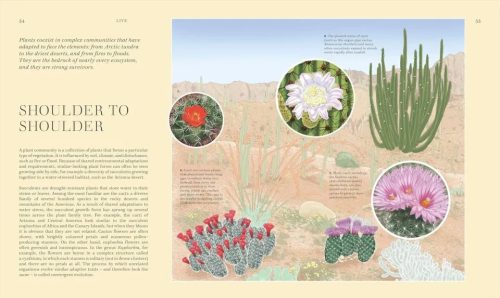 Wildflowers: Discover the Science and Secrets Behind the World of Wildflowers - Image 4