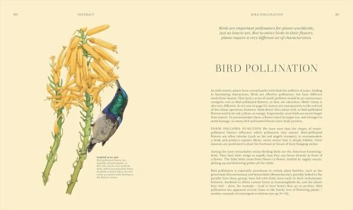 Wildflowers: Discover the Science and Secrets Behind the World of Wildflowers - Image 5