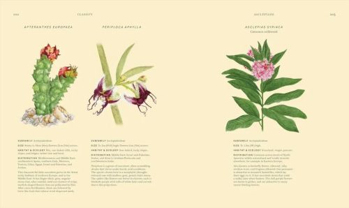 Wildflowers: Discover the Science and Secrets Behind the World of Wildflowers - Image 6