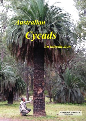 Australian Cycads: An Introduction