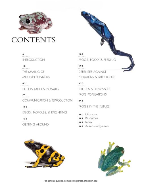 The Lives of Frogs: A Natural History - Image 6