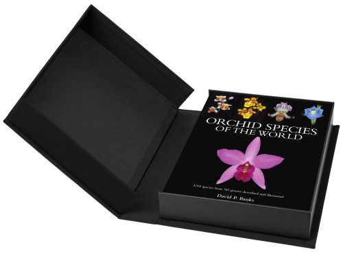 Orchid Species of the World: 3,333 Species from 343 Genera Described and Illustrated (Limited Edition)