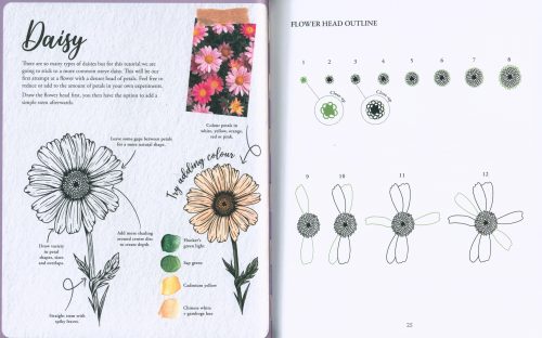 The Kew Book of Drawing Flora & Fauna: 20 Stunning Step-By-step Tutorials - Image 2