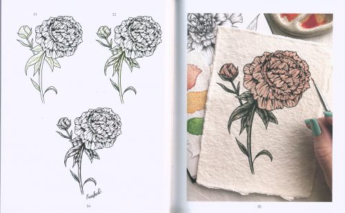 The Kew Book of Drawing Flora & Fauna: 20 Stunning Step-By-step Tutorials - Image 3
