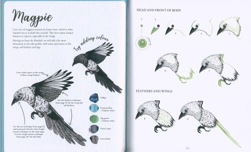 The Kew Book of Drawing Flora & Fauna: 20 Stunning Step-By-step Tutorials - Image 4