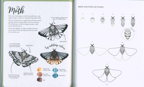 The Kew Book of Drawing Flora & Fauna: 20 Stunning Step-By-step Tutorials - Image 5