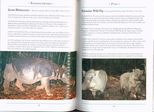 A Naturalist's Guide to the Mammals of South-East Asia (Third Edition) - Image 3
