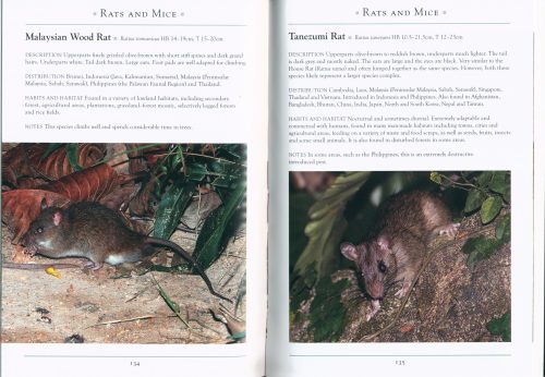 A Naturalist's Guide to the Mammals of South-East Asia (Third Edition) - Image 4