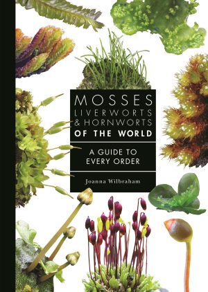 Mosses, Liverworts, & Hornworts of the World: A Guide to Every Order