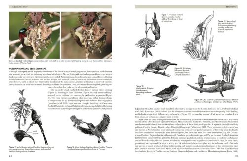 Sunbirds of the World: Sunbirds, Flowerpeckers, Spiderhunters & Sugarbirds - Image 5