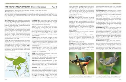 Sunbirds of the World: Sunbirds, Flowerpeckers, Spiderhunters & Sugarbirds - Image 3