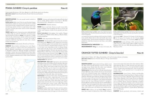Sunbirds of the World: Sunbirds, Flowerpeckers, Spiderhunters & Sugarbirds - Image 2
