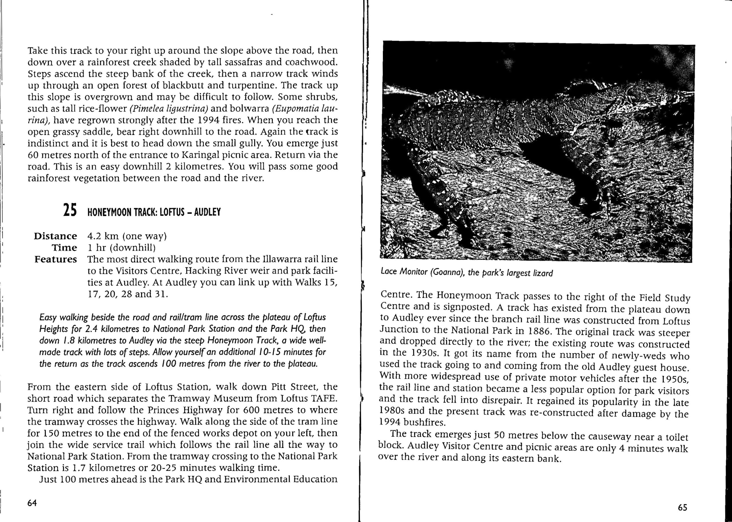 Discovering Royal National Park on Foot (Updated Edition) - Image 4