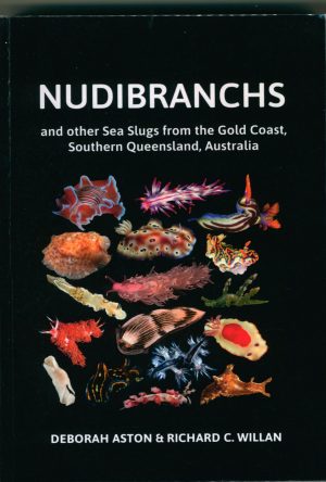 Nudibranchs and other Sea Slugs from the Gold Coast, Southern Queensland, Australia