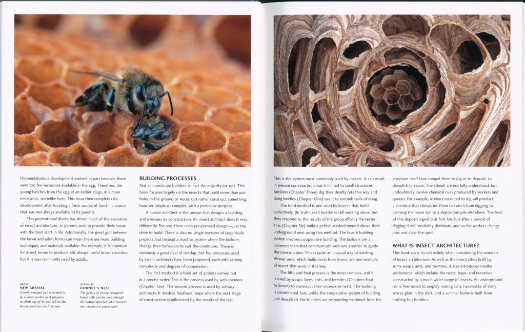 Insects Build Insect Architecture: How Insects Design, Engineer, and Shape Their ...