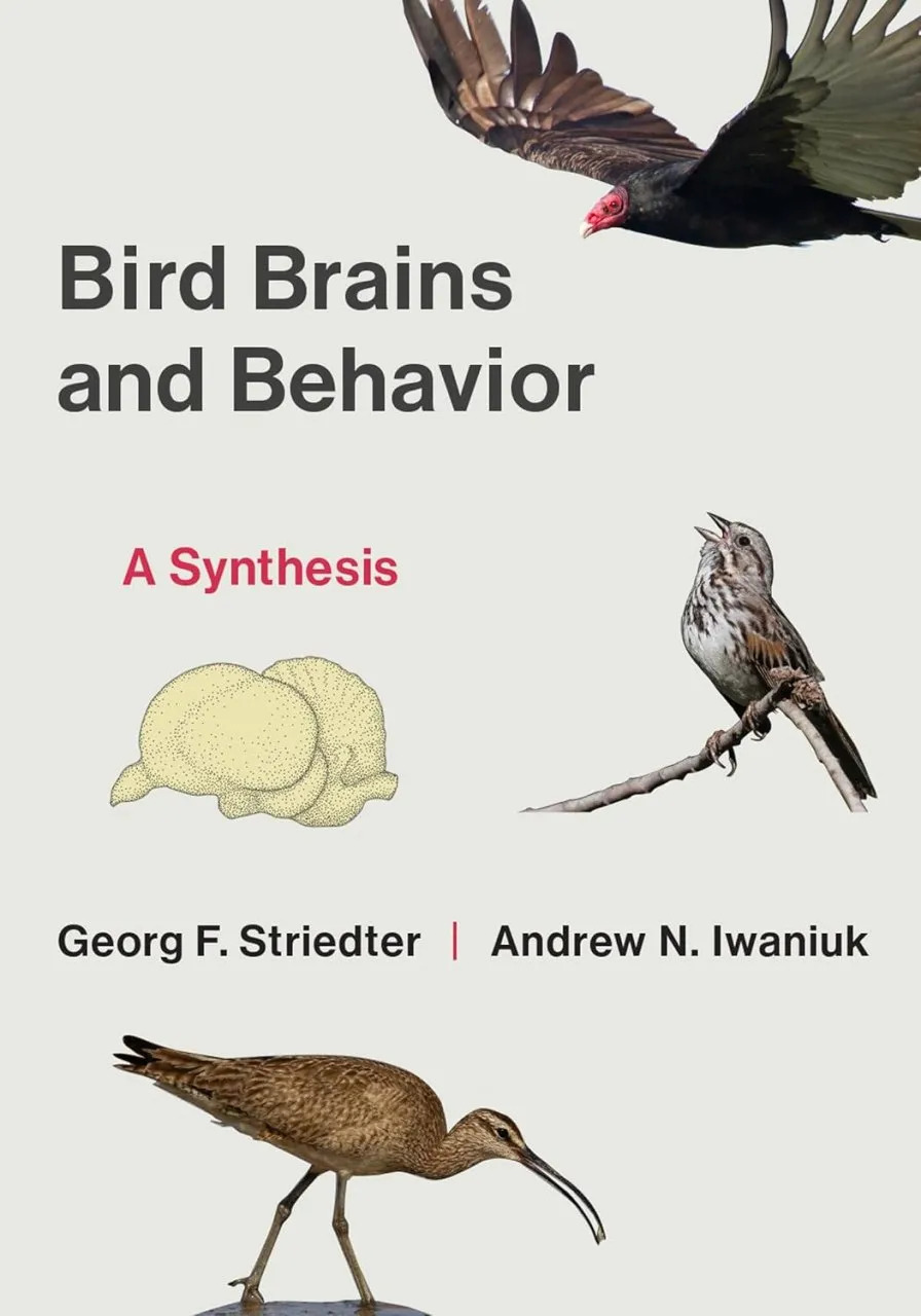 Bird Brains and Behavior: A Synthesis