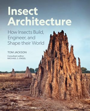 Insect Architecture: How Insects Design, Engineer, and Shape Their World