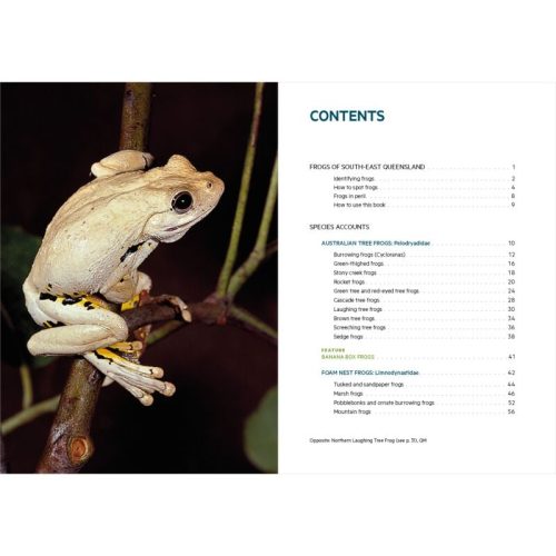 Frogs of South-East Queensland (Pocket Guide) - Image 2