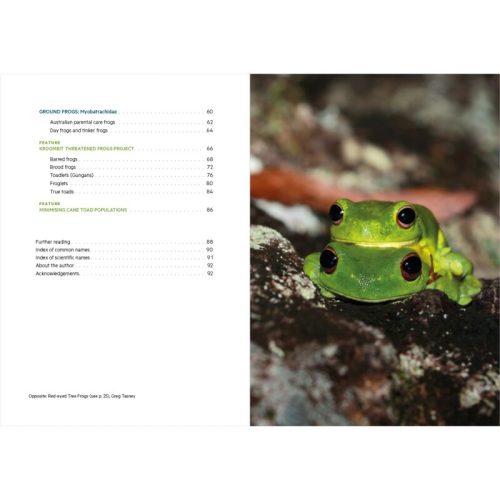 Frogs of South-East Queensland (Pocket Guide) - Image 3