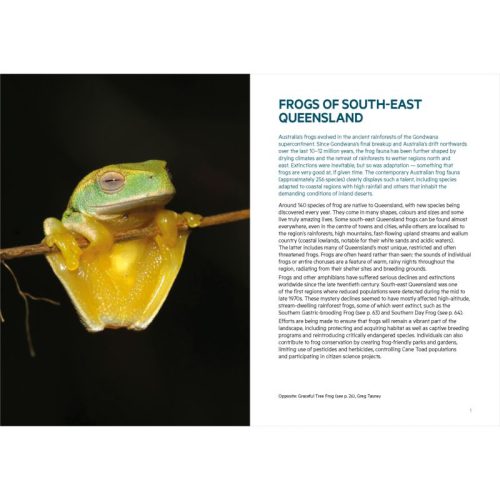 Frogs of South-East Queensland (Pocket Guide) - Image 4