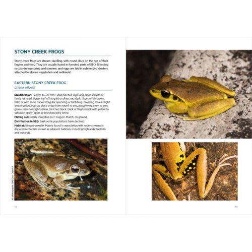 Frogs of South-East Queensland (Pocket Guide) - Image 6