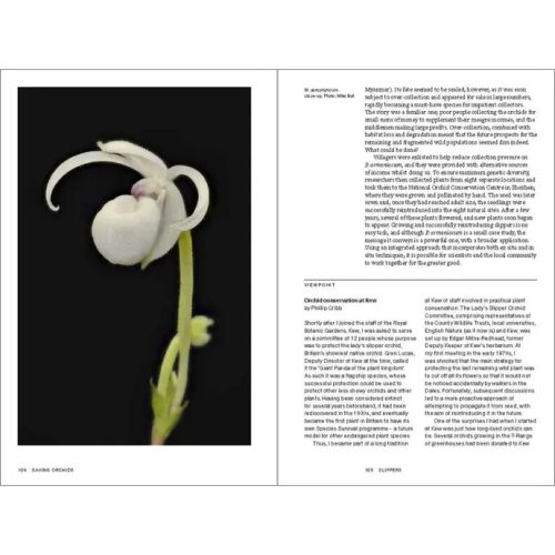 Saving Orchids: Stories of Species Survival in a Changing World - Image 4