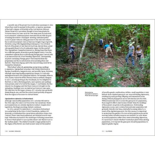 Saving Orchids: Stories of Species Survival in a Changing World - Image 3