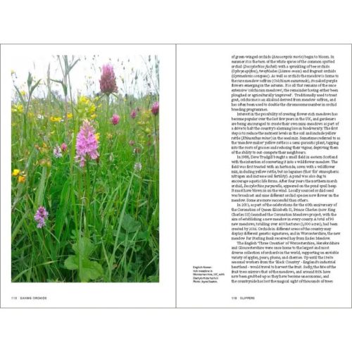 Saving Orchids: Stories of Species Survival in a Changing World - Image 2