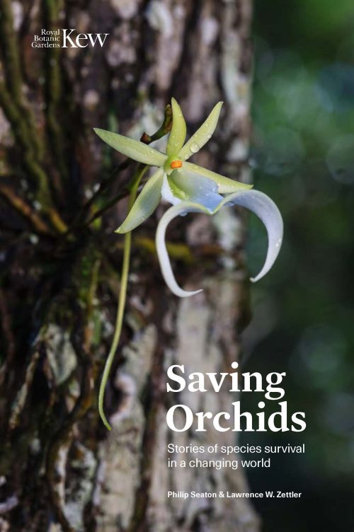 Saving Orchids: Stories of Species Survival in a Changing World