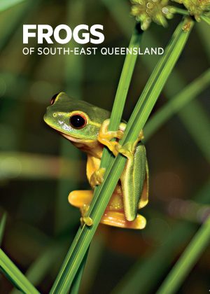 Frogs of South-East Queensland (Pocket Guide)