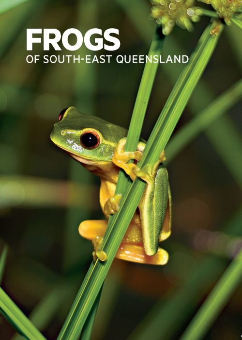 Frogs of South-East Queensland (Pocket Guide)