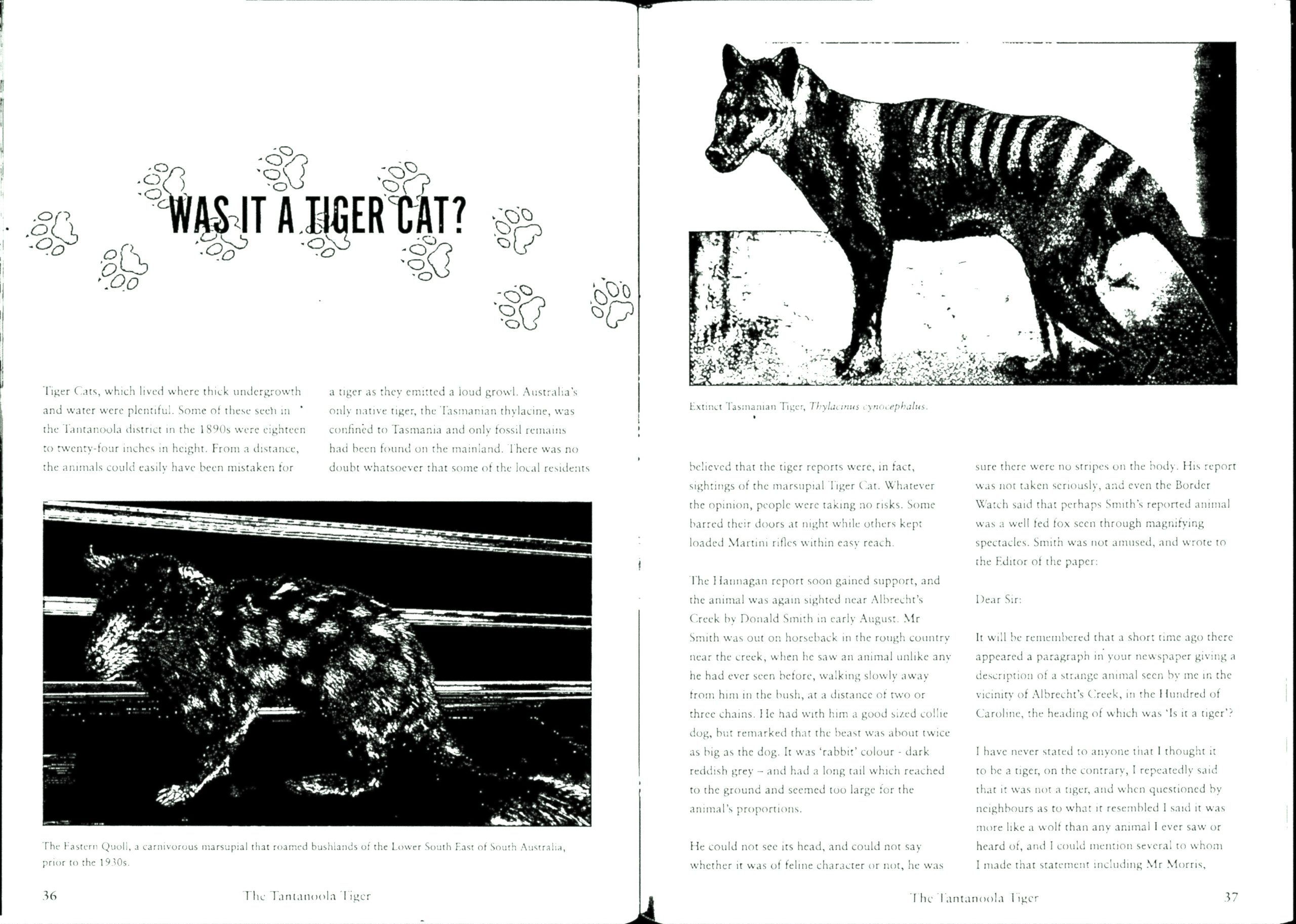 The Tantanoola Tiger: The Legend Lives On (Third Edition) - Image 3