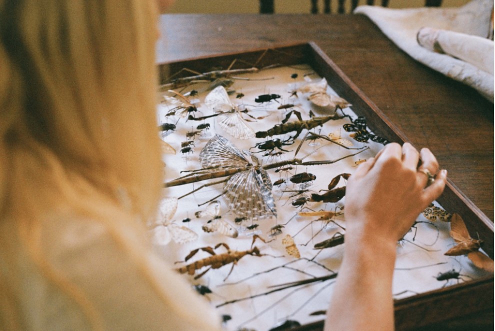 Nature People: Australia's New Guard of Naturalists, In the Wild - Image 8