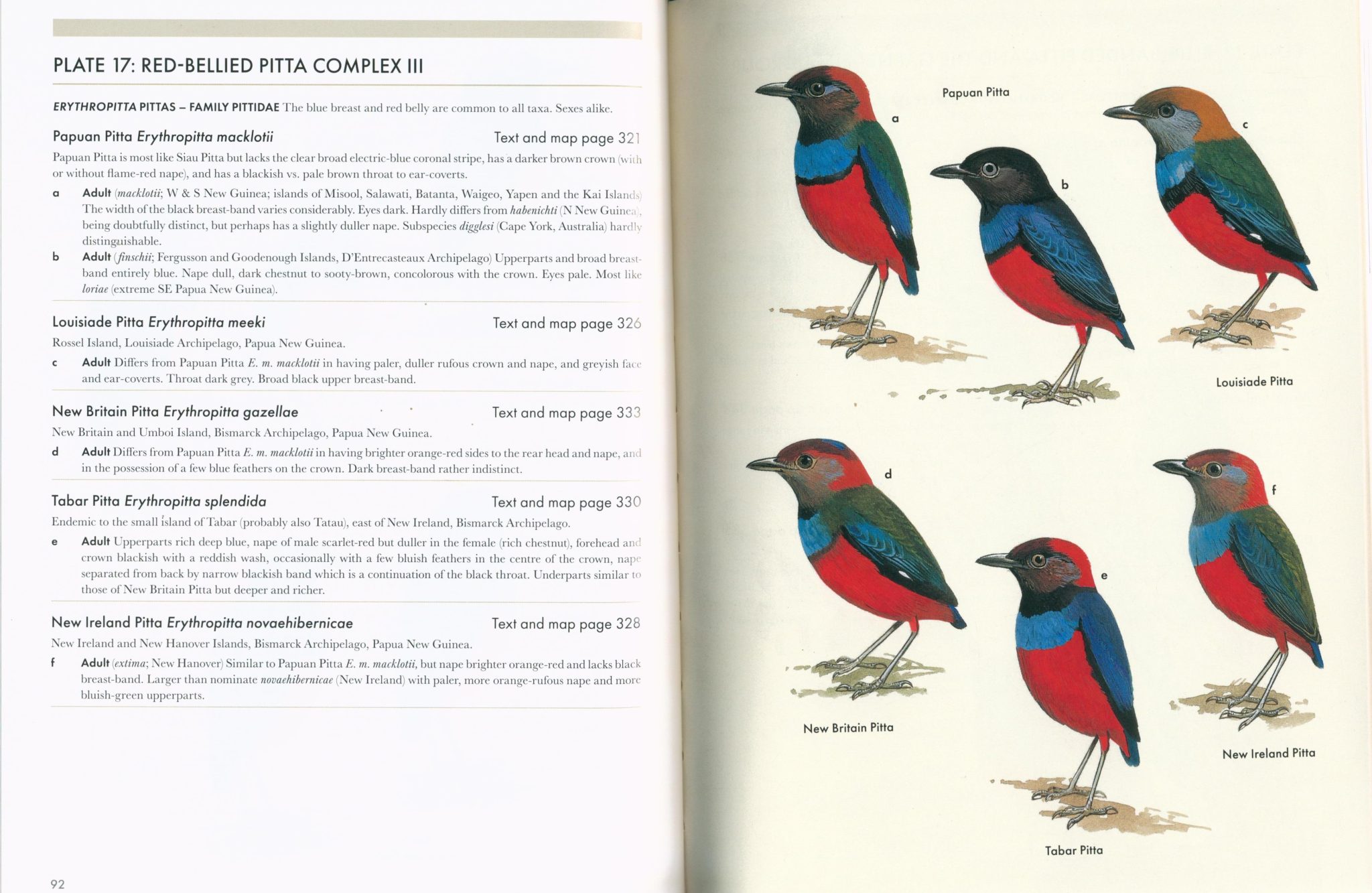 Pittas, Broadbills and Asities (Second Edition) (Helm Identification ...