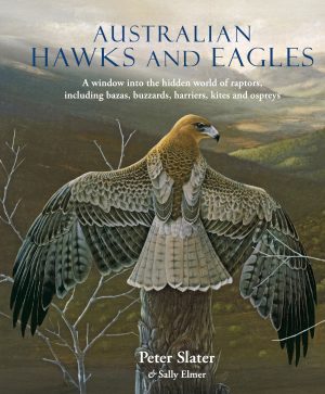 Australian Hawks and Eagles: A Window into the Hidden World of Raptors, Including Bazas, Buzzards Harriers, Kites and Ospreys