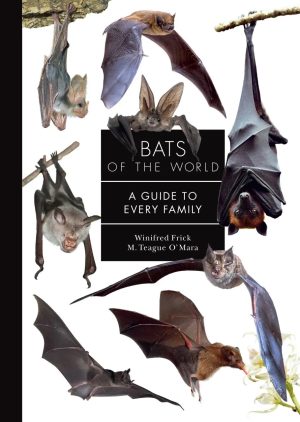 Bats of the World: A Guide to Every Family