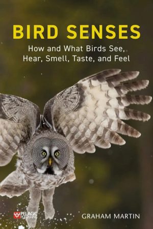 Bird Senses: How and What Birds See, Hear, Smell, Taste, and Feel