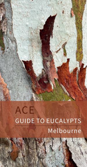 ACE Guide to Eucalypts: Melbourne