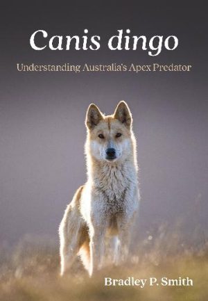 Canis Dingo: Understanding Australia's Apex Predator