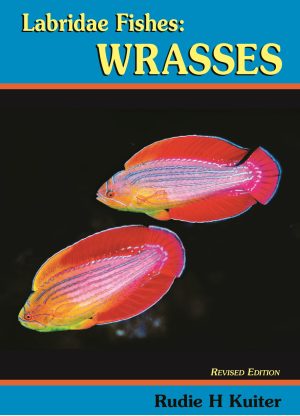Labridae Fishes: Wrasses