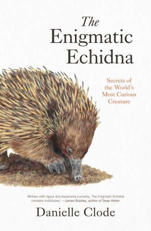 The Enigmatic Echidna: Secrets of the World's Most Curious Creature