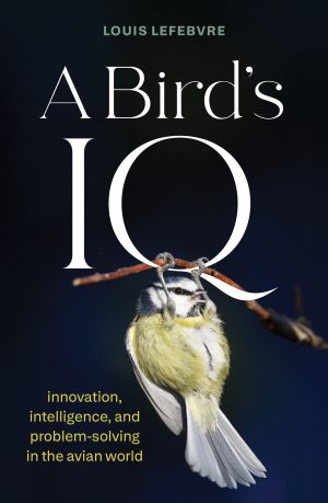 A Bird's IQ: Innovation, Intelligence, and  Problem-solving in the Avian world