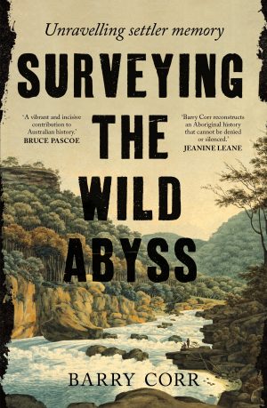 Surveying the Wild Abyss: Unravelling Settler Memory
