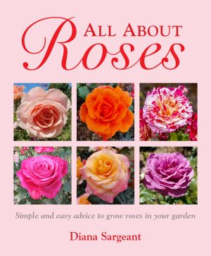 All About Roses: Simple and Easy Advice to Grow Roses in your Garden