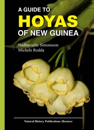 A Guide to Hoyas of New Guinea