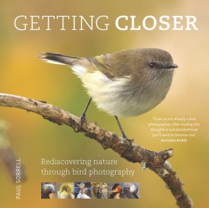 Getting Closer: Discovering Nature Through Bird Photography